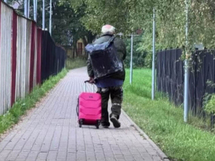 В Ленобласти бездомный попытался похитить маленькую смышленую девочку