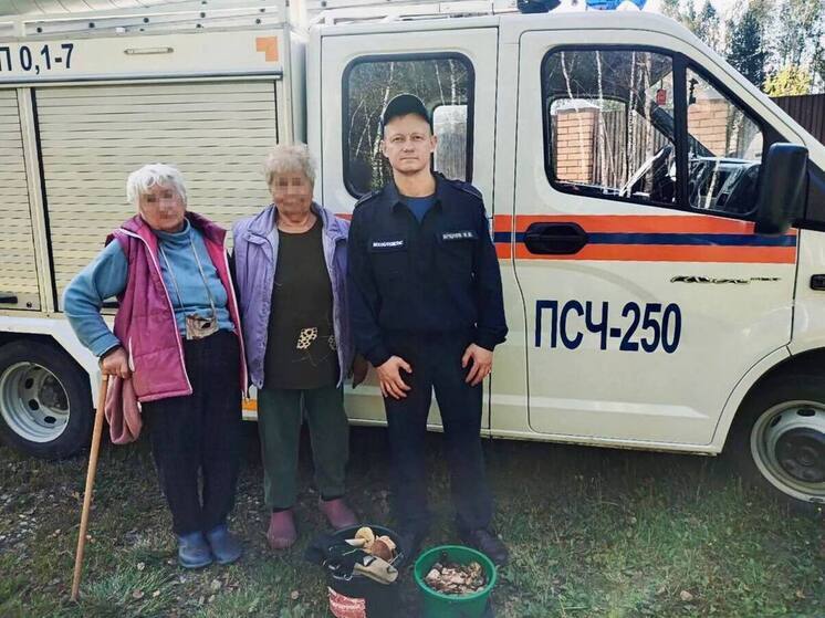 Двух заблудившихся пенсионерок спасли в лесу под Орехово-Зуево