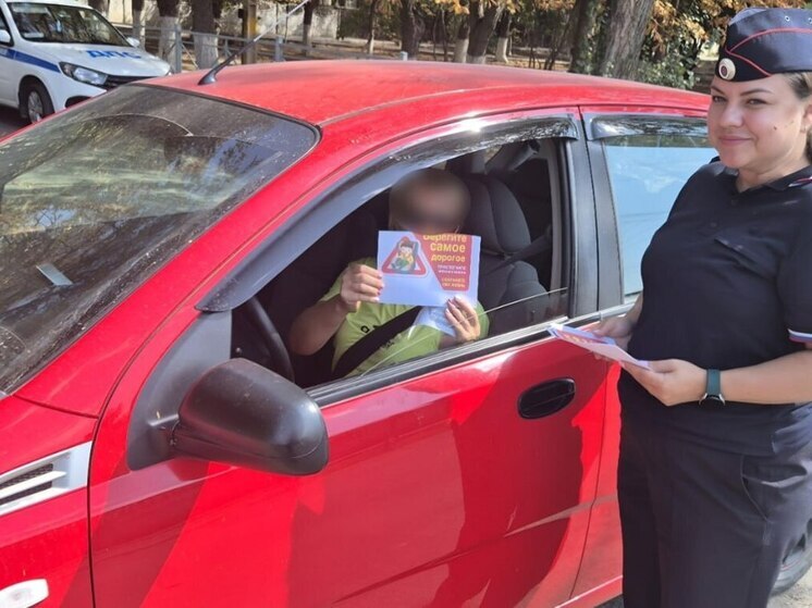В Геническом округе Херсонской области автоинспекторы провели рейд
