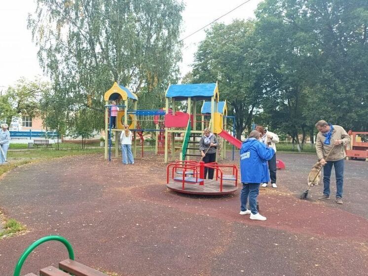 Пензенские активисты «Единой России» проверили безопасность детской площадки в Нижнем Ломове