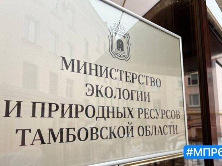 Охота на бобра и куницу откроется в Тамбовской области: началось оформление разрешений