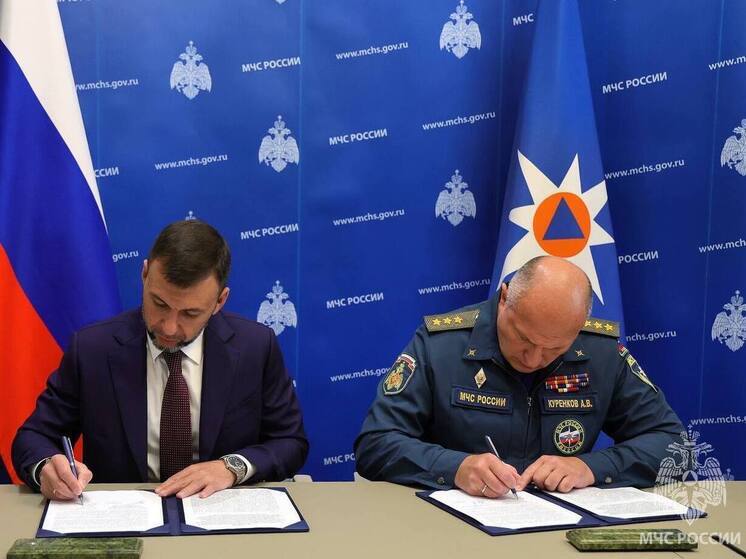 Донецкую Народную Республику включили в общую систему безопасности