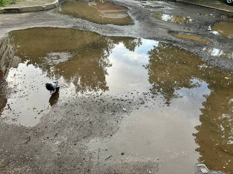 В Волотовском районе на дороге залатали дыры после «пинка» прокуратуры