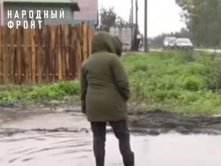 Власти Черногорска не дают частным инвесторам сделать освещение на улицах города