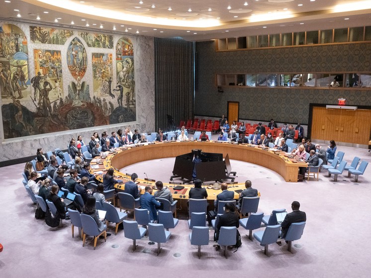 Варшава запросила заседание Совбеза ООН в связи с инцидентом с беспилотниками