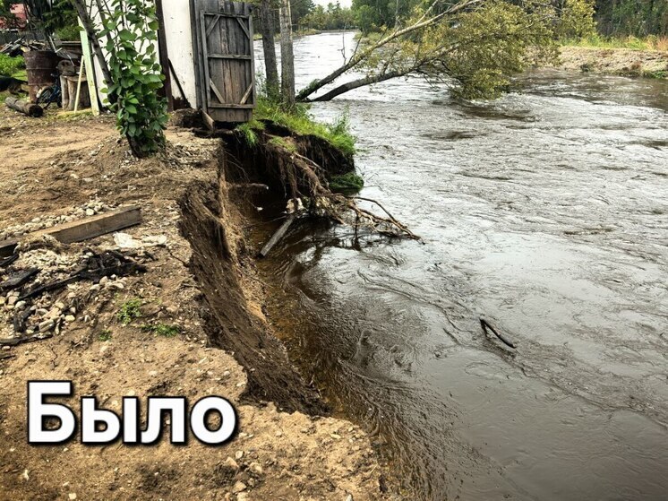 Берег укрепили возле СНТ «Островок» под Читой