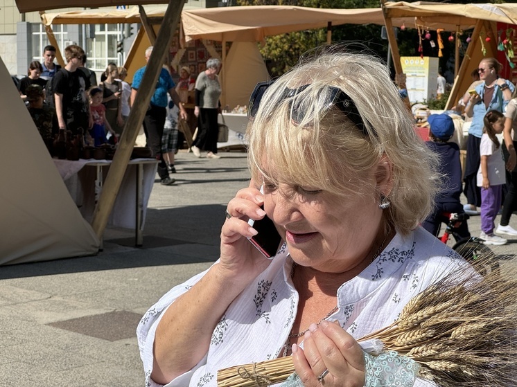 РИА Новости: мошенник пытался дозвониться до жертвы более 17 тысяч раз