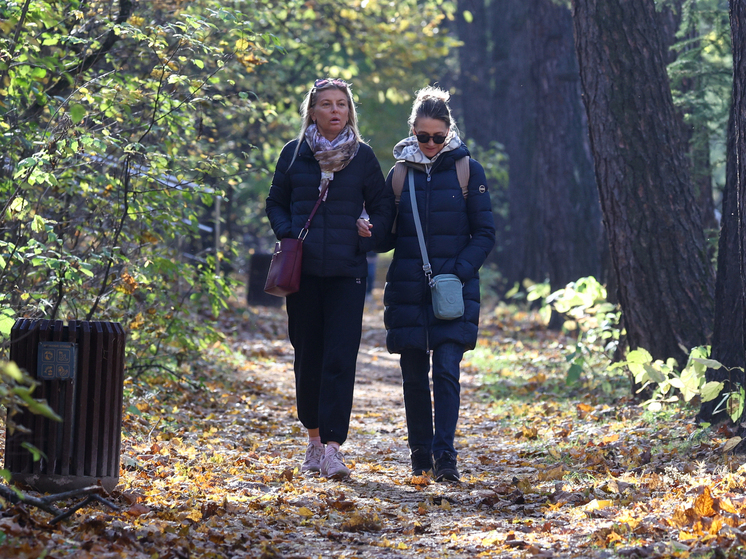 Тишковец: прошедшая ночь в Москве стала самой холодной с начала сентября