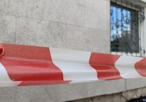Неподалеку от Республики Алтай, на границе Монголии и России, выявлен случай заболевания бубонной чумой