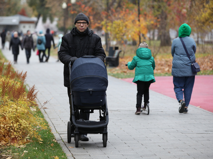 Подмосковные семьи получили 92 млн рублей выплат при рождении детей