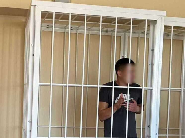 Новосибирца, истязавшего жену и сына, заключили под стражу