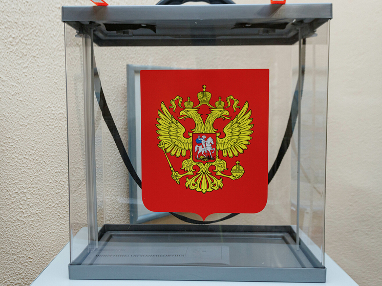 Суд отказал кандидату в восстановлении в списке на выборах в Себежском районе