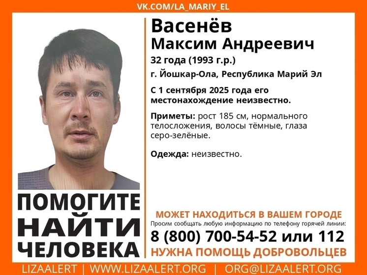 В Марий Эл ищут пропавшего 1 сентября йошкаролинца