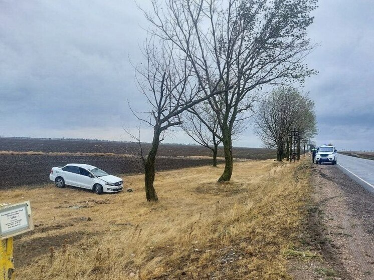 В ДТП в Чаплынском округе пострадал водитель легковушки