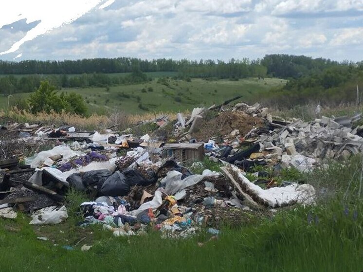 Белгородцев призвали сообщать в Экоохотнадзор о несанкционированных свалках