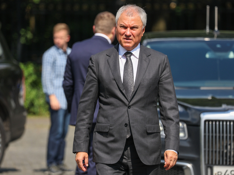 Володин: тестирование детей мигрантов на знание русского гармонизирует учебу