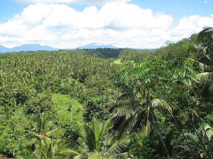 Туристам из РФ в Индонезии оказывают консульскую помощь посольство России