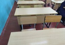 В Рубцовске группа учащихся «Гимназии №3», объявив себя «королевами класса», жестоко избили свою сверстницу