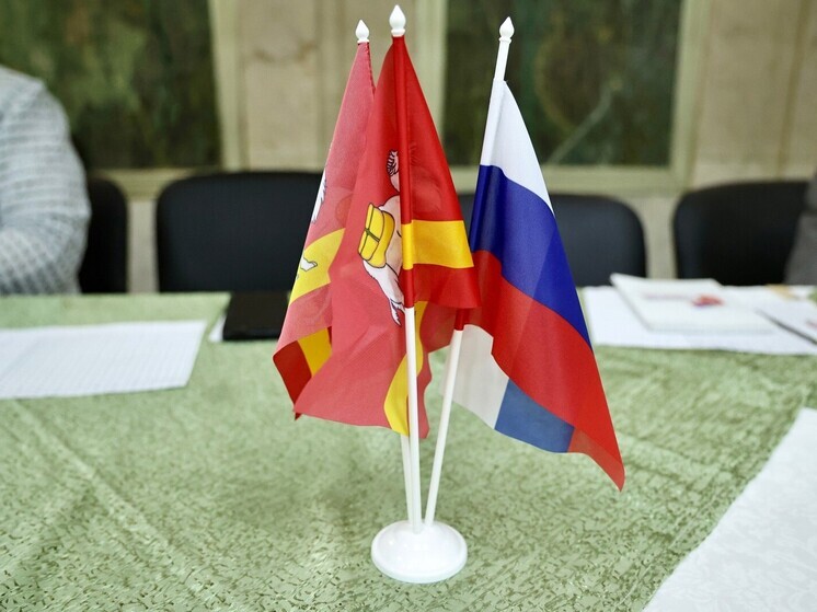 В Челябинской области открыли горячую линию для защиты прав избирателей