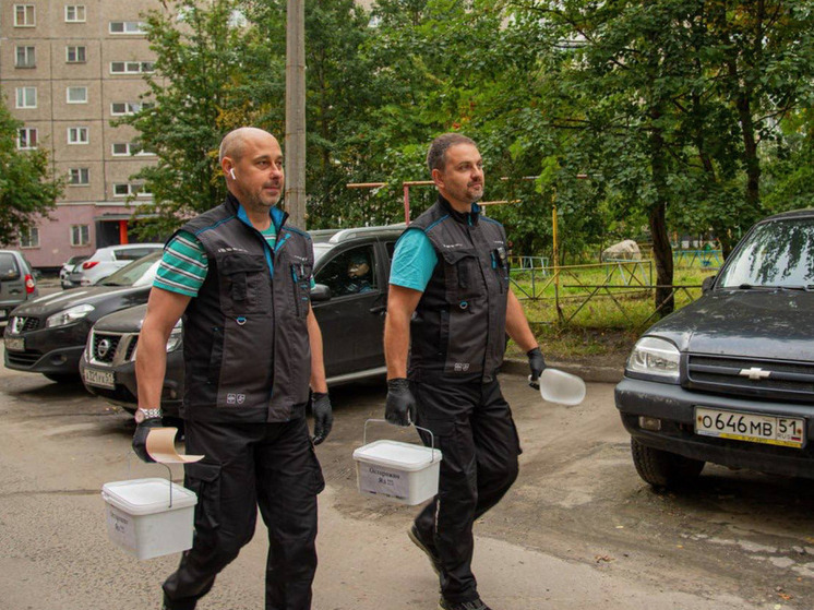 Врип главы Мурманска объявил о борьбе с крысами