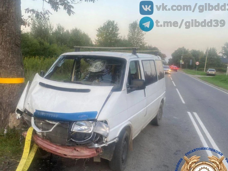 В Калининграде произошло ДТП с врезавшимся в дерево микроавтобусом