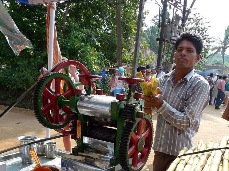 Мигрантов из Средней Азии могут заменить приезжие специалисты из Индии