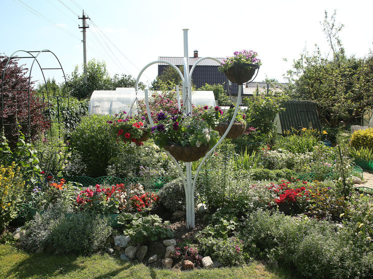 Более 120 врачей Подмосковья получили земельные участки с начала 2025 года