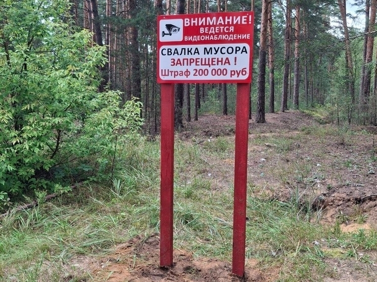 Серпуховские лесничие установили предупреждающие аншлаги