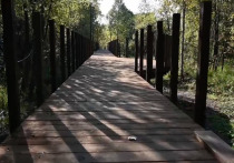 В Мурманске, в районе «Чистый ручей», скоро откроется новая деревянная дорожка для прогулок