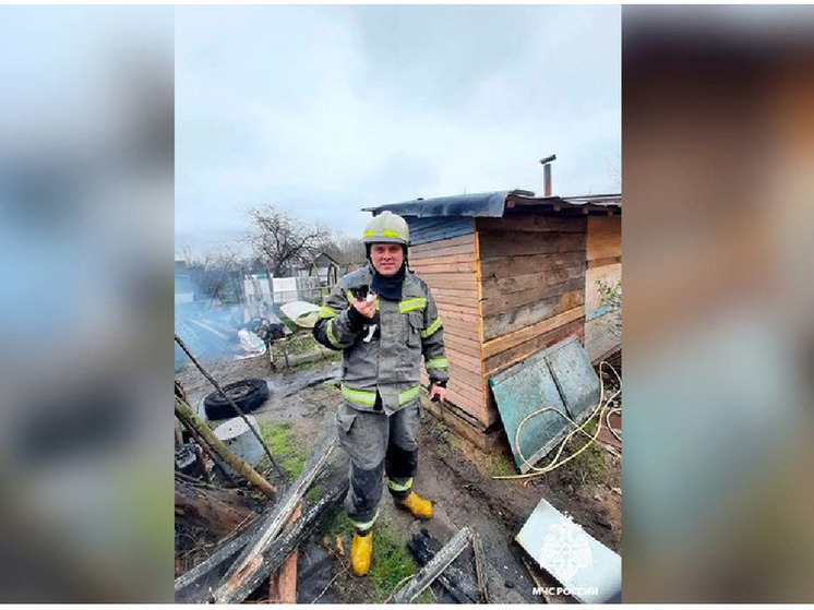 Бездомного котенка спасли на пожаре в Череповце