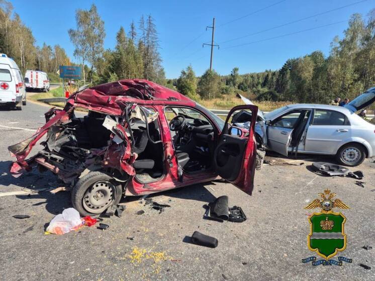 Санавиация направлена на место жуткого ДТП в Жуковском районе