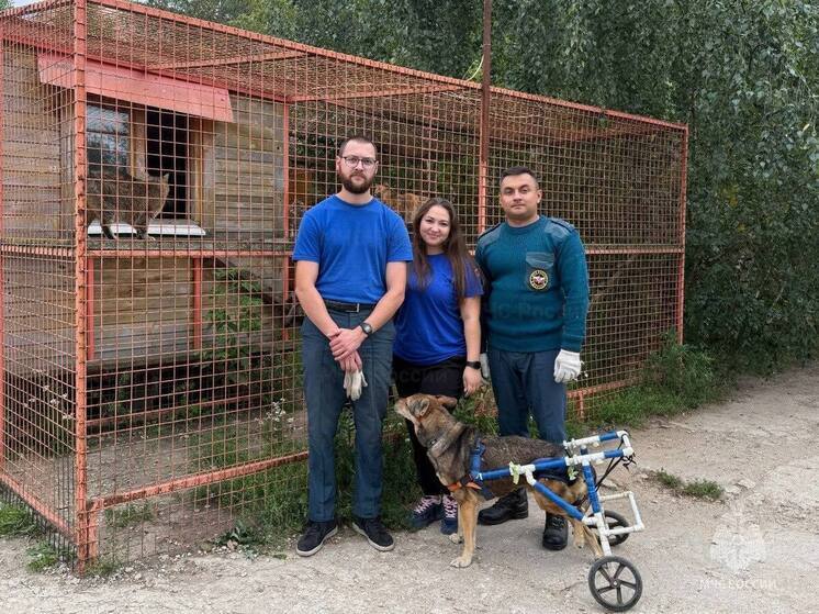 Калужский приют для животных посетили спасатели