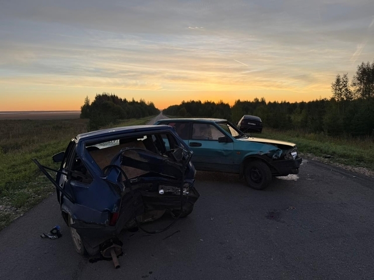 По вине пьяных водителей в Марий Эл произошло 50 ДТП