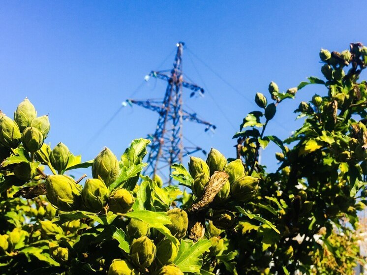 «Россети Северный Кавказ» повысили надежность электроснабжения 23 населенных пунктов Ставрополья