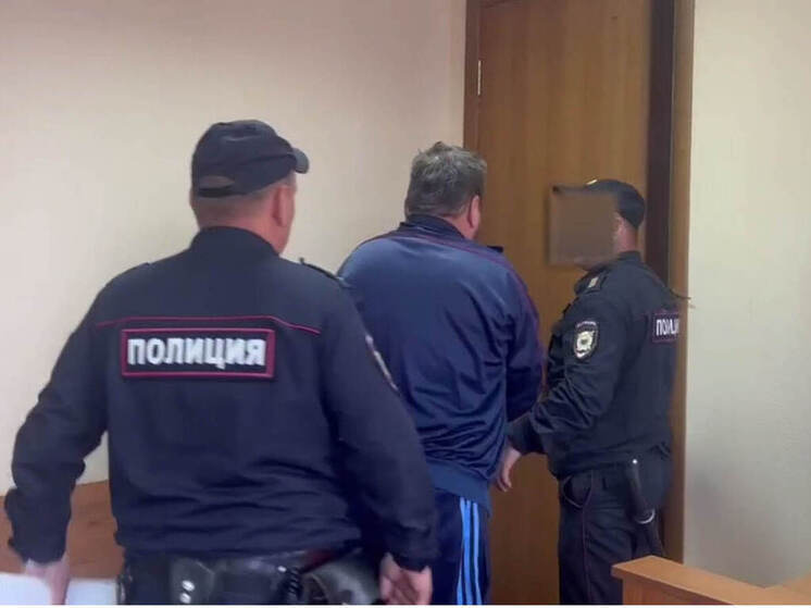 Житель Волжска взят под стражу после покушения на убийство