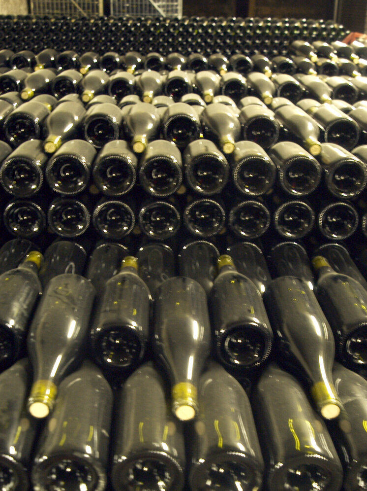 Japan Airlines уволила пилота самолета, выпившего алкоголь перед вылетом