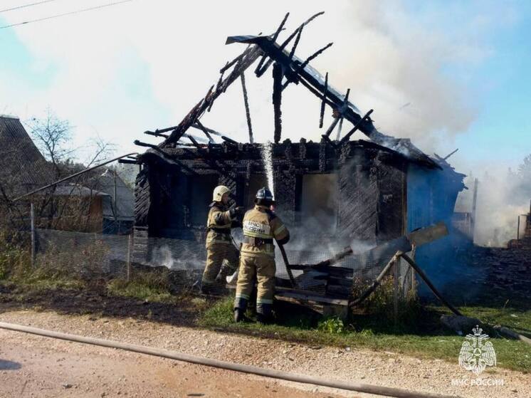 Человек погиб при пожаре в Солецком округе