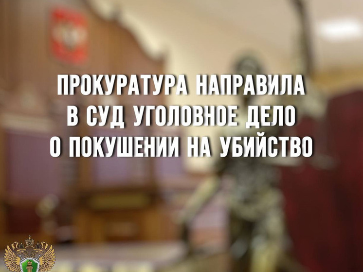 Прокуратура направила в суд дело о покушении на убийство в Вязьме