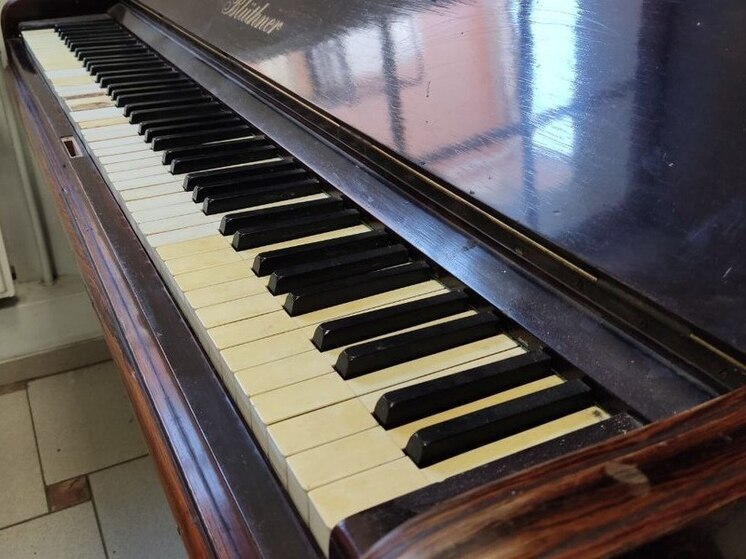 Житель Москвы украл у черногорки больше 100 тысяч, продавая фортепиано