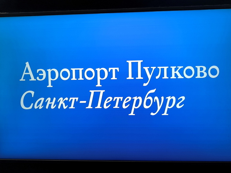 В аэропорту Пулково частично ограничили регистрацию на рейсы внутренних линий