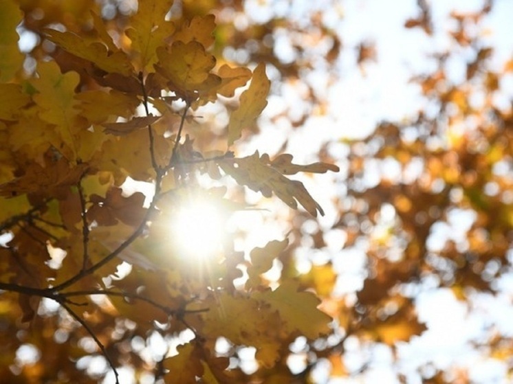 Магнитная буря 12 сентября 2025 года: сила геоударов не превысит 3 баллов