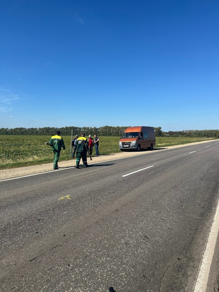 В Орловской области на днях началось строительство второго в регионе автоматического пункта весового и габаритного контроля