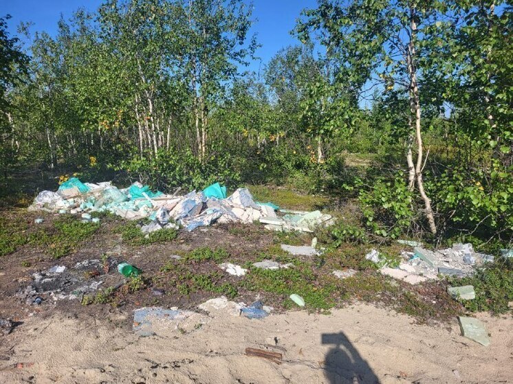 Еще одну нелегальную свалку нашли в тундре близ Нового Уренгоя
