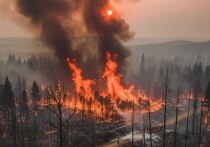 В Эвенкийском лесничестве на севере Красноярского края зафиксированы два крупных лесных пожара общей площадью 222 гектара
Как сообщили в региональном лесопожарном центре, очаги возгорания расположены в труднодоступной удаленной местности