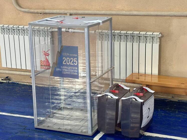 В Ессентуках стартовали выборы в городскую Думу