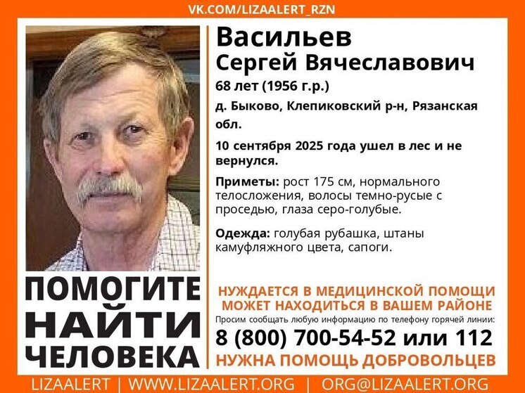 В Клепиковском районе разыскивают пропавшего 68-летнего грибника
