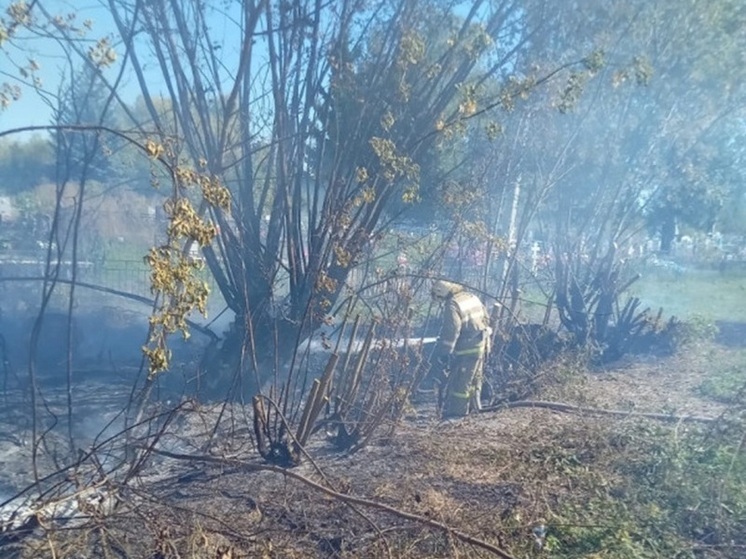 Пожарные ликвидировали возгорание сухой травы в Обоянском районе