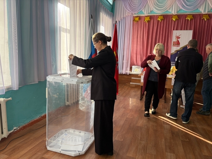 В Тульской области стартовало трёхдневное голосование и открылись 217 участков
