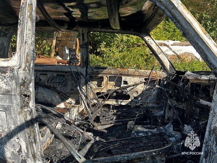 Возгорание автомобиля ликвидировано в деревне Даровая под Ефремовым