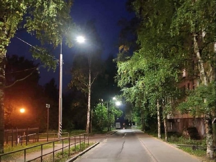 Власти Петрозаводска обновили уличное освещение на улице Володарского